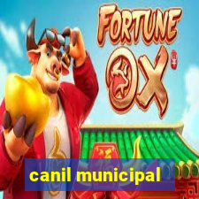 canil municipal